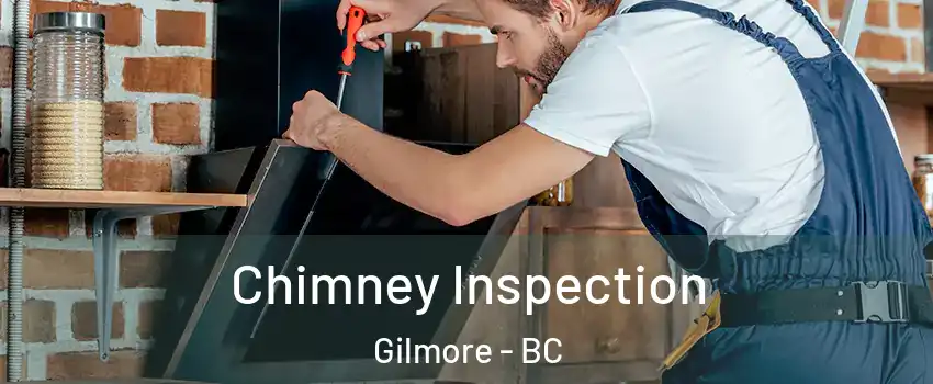  Chimney Inspection Gilmore - BC