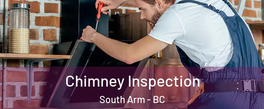  Chimney Inspection South Arm - BC