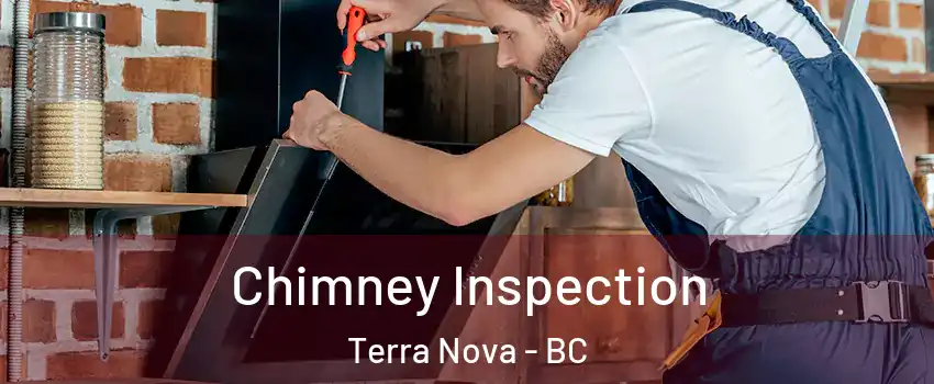  Chimney Inspection Terra Nova - BC