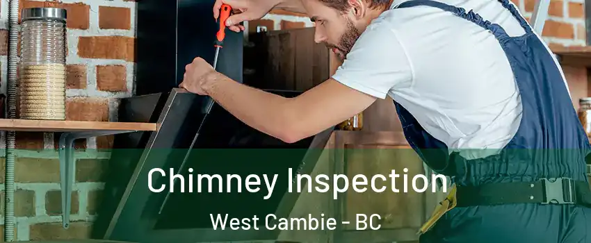  Chimney Inspection West Cambie - BC