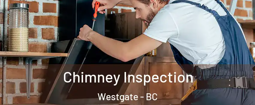  Chimney Inspection Westgate - BC