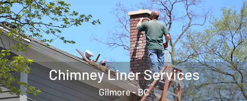  Chimney Liner Services Gilmore - BC