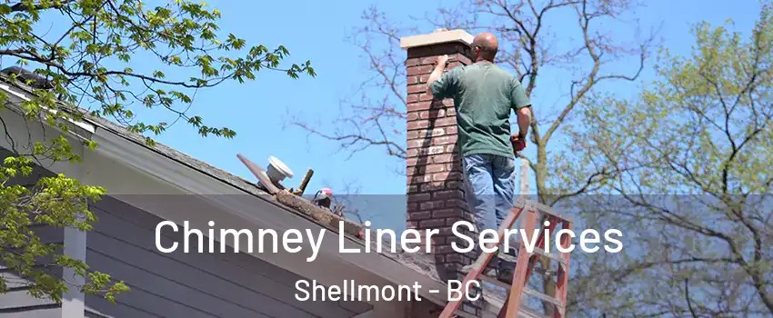  Chimney Liner Services Shellmont - BC