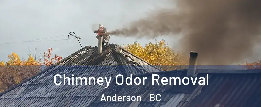  Chimney Odor Removal Anderson - BC