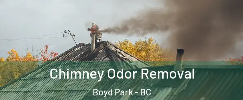  Chimney Odor Removal Boyd Park - BC