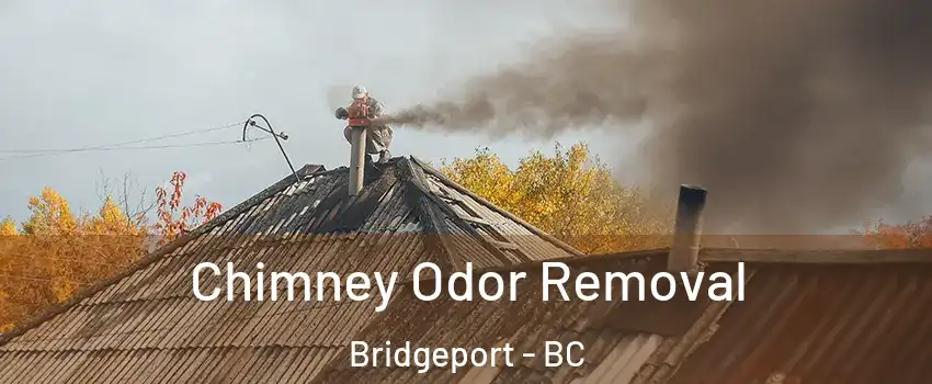  Chimney Odor Removal Bridgeport - BC