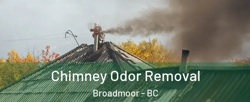  Chimney Odor Removal Broadmoor - BC