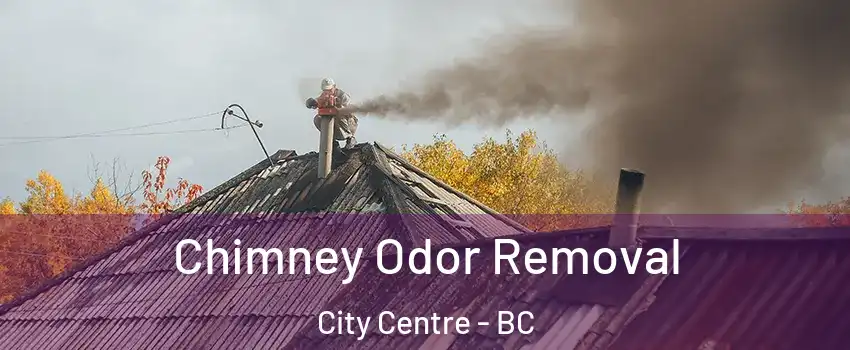  Chimney Odor Removal City Centre - BC