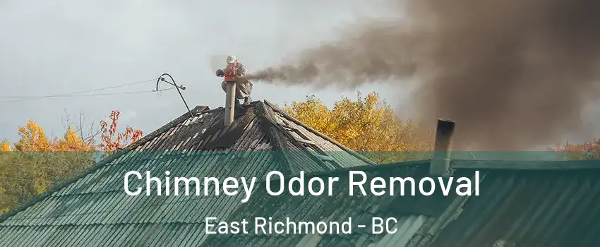  Chimney Odor Removal East Richmond - BC