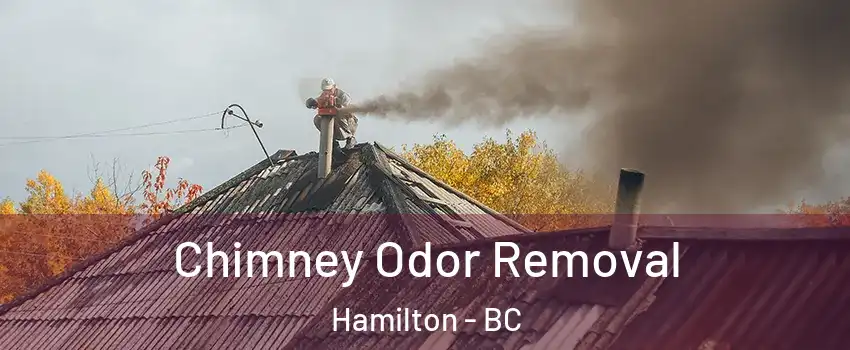  Chimney Odor Removal Hamilton - BC