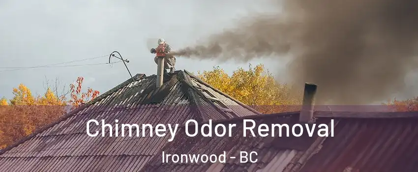  Chimney Odor Removal Ironwood - BC
