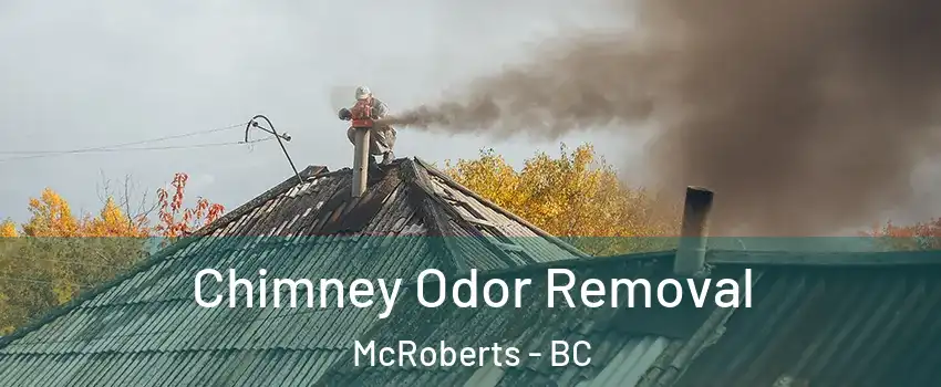  Chimney Odor Removal McRoberts - BC