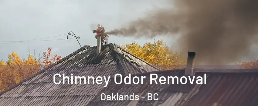  Chimney Odor Removal Oaklands - BC