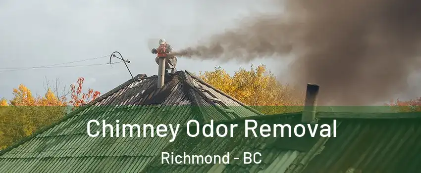  Chimney Odor Removal Richmond - BC