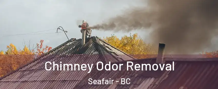  Chimney Odor Removal Seafair - BC