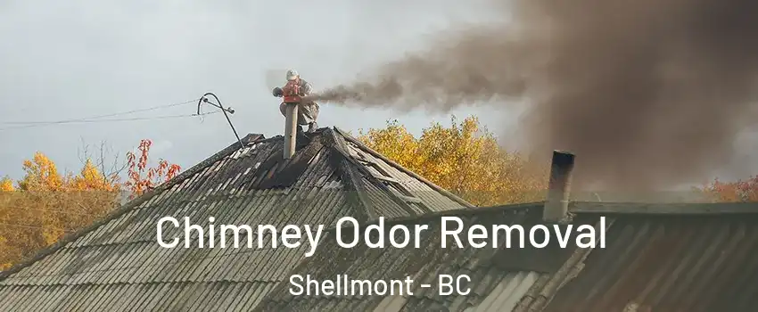  Chimney Odor Removal Shellmont - BC