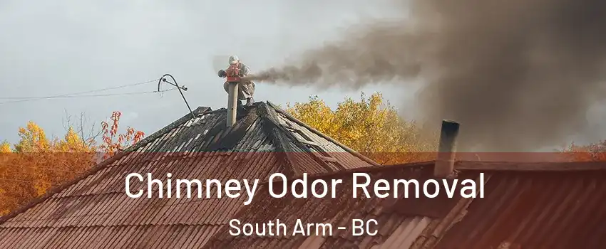  Chimney Odor Removal South Arm - BC