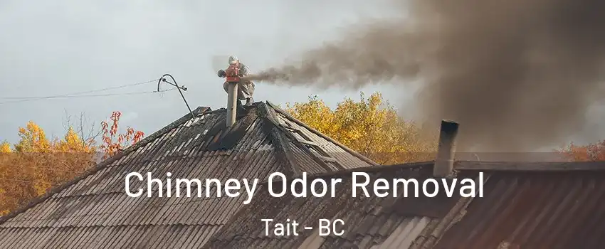  Chimney Odor Removal Tait - BC
