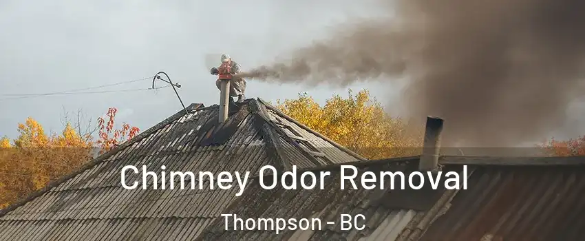  Chimney Odor Removal Thompson - BC