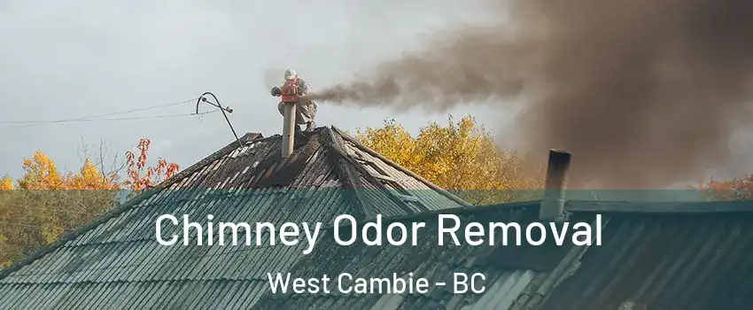  Chimney Odor Removal West Cambie - BC