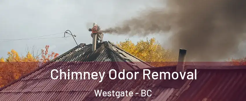  Chimney Odor Removal Westgate - BC