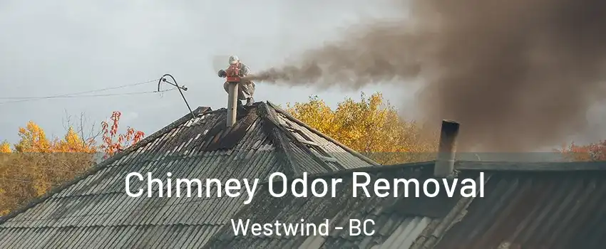  Chimney Odor Removal Westwind - BC