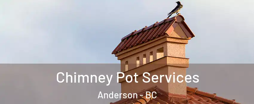  Chimney Pot Services Anderson - BC