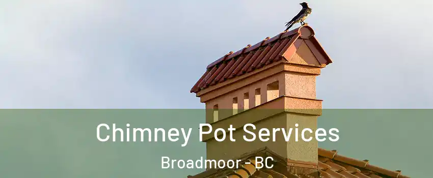  Chimney Pot Services Broadmoor - BC