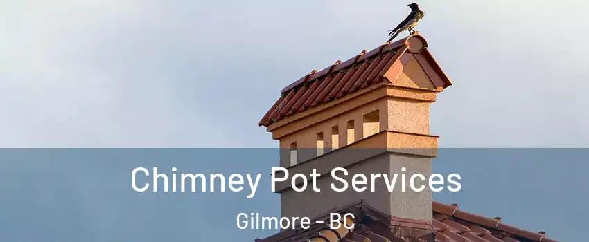  Chimney Pot Services Gilmore - BC