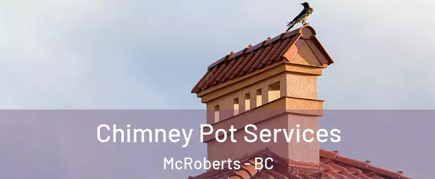  Chimney Pot Services McRoberts - BC
