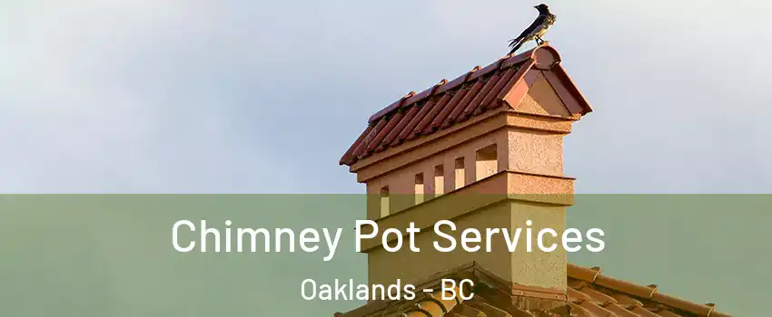  Chimney Pot Services Oaklands - BC