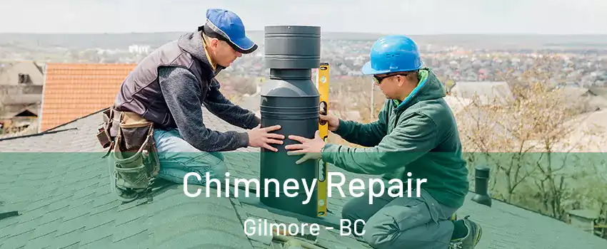  Chimney Repair Gilmore - BC