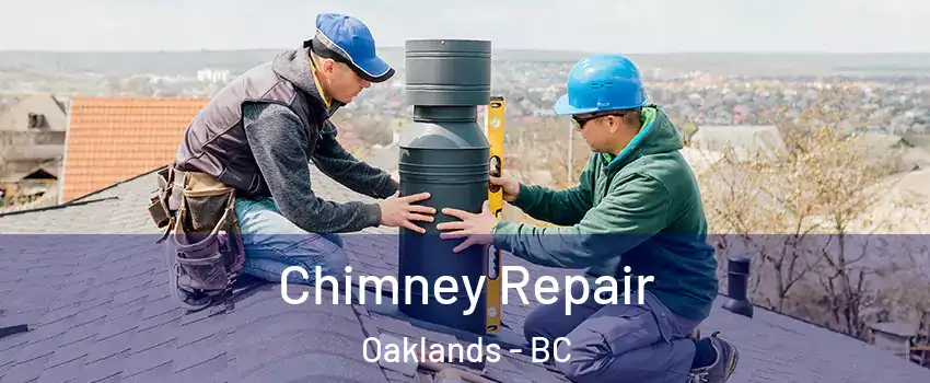  Chimney Repair Oaklands - BC