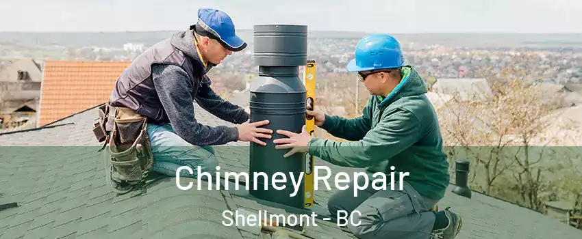  Chimney Repair Shellmont - BC