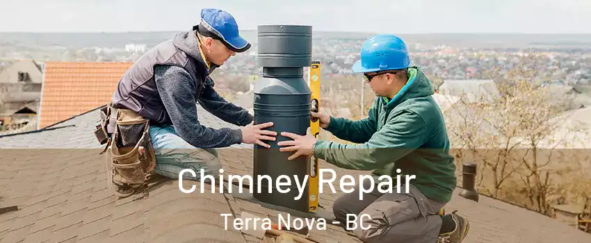  Chimney Repair Terra Nova - BC