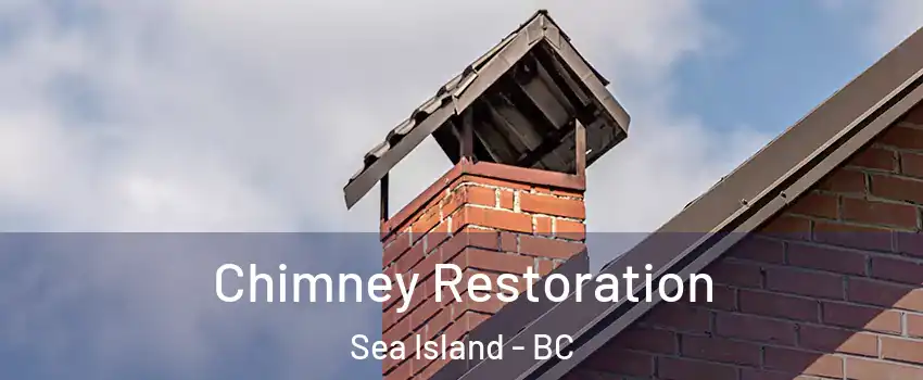  Chimney Restoration Sea Island - BC