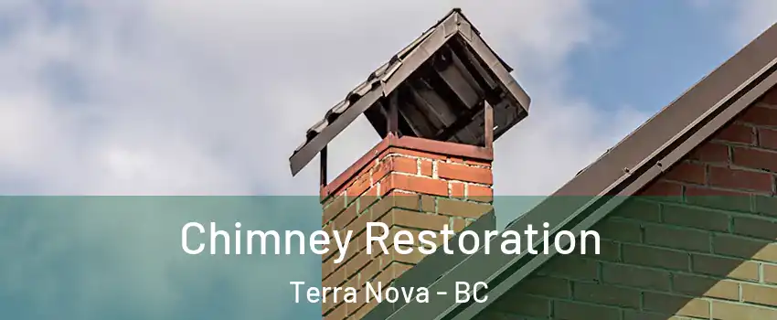  Chimney Restoration Terra Nova - BC