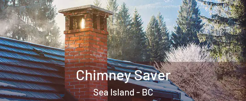  Chimney Saver Sea Island - BC