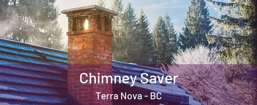  Chimney Saver Terra Nova - BC