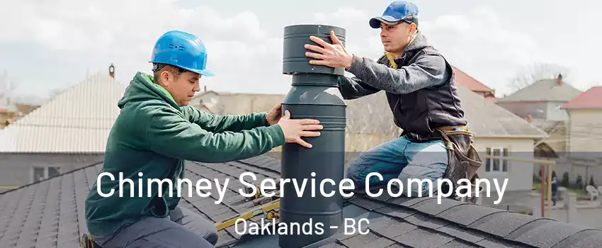  Chimney Service Company Oaklands - BC