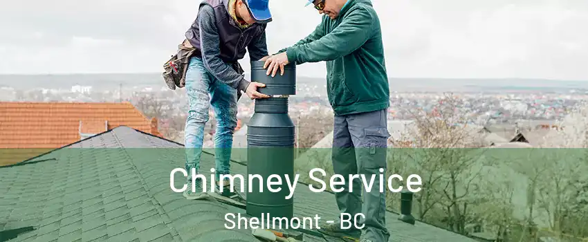  Chimney Service Shellmont - BC