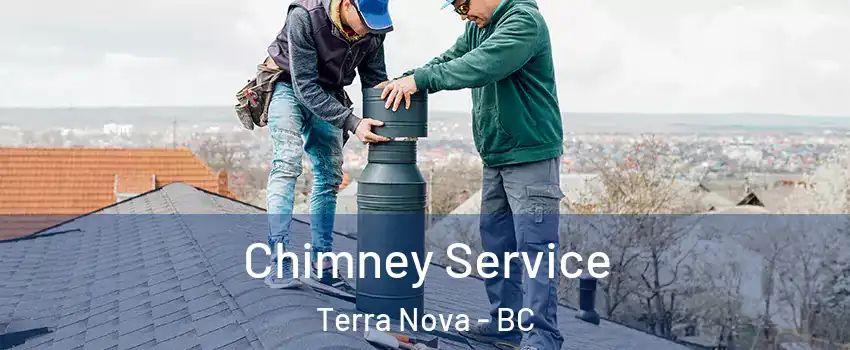  Chimney Service Terra Nova - BC