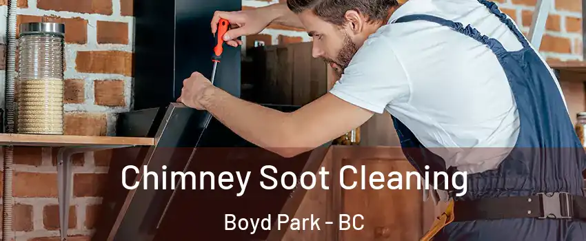  Chimney Soot Cleaning Boyd Park - BC