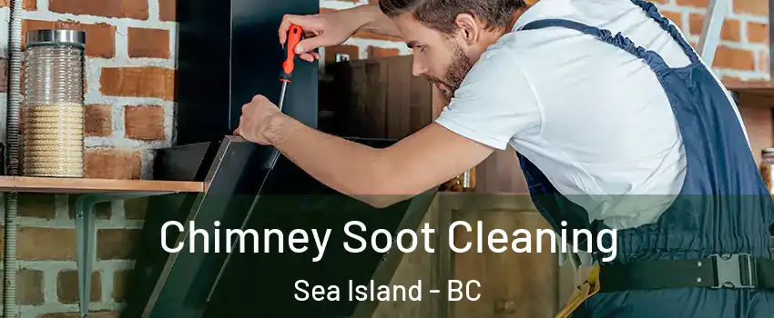  Chimney Soot Cleaning Sea Island - BC