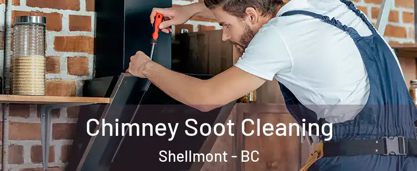  Chimney Soot Cleaning Shellmont - BC