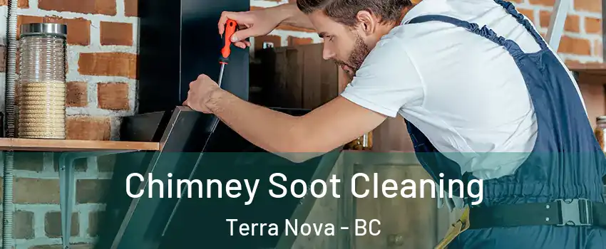  Chimney Soot Cleaning Terra Nova - BC