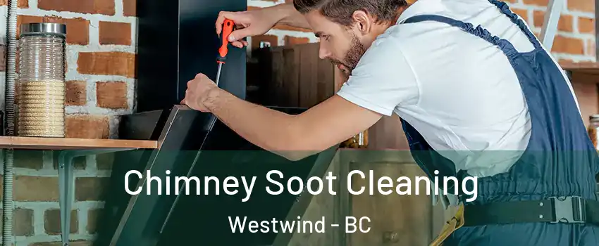  Chimney Soot Cleaning Westwind - BC