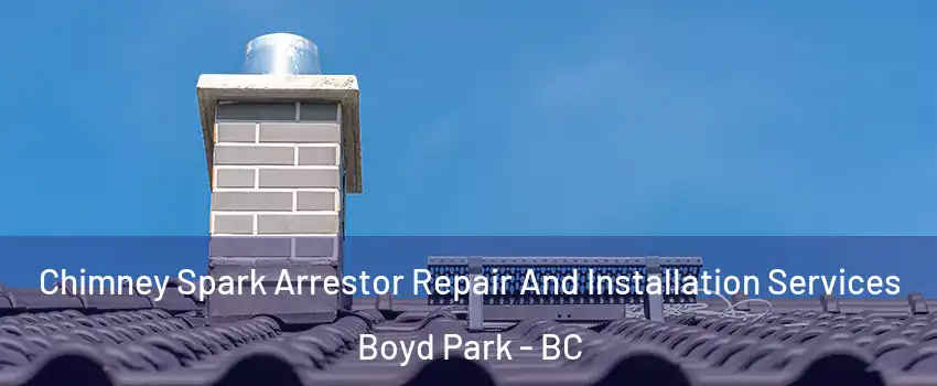  Chimney Spark Arrestor Repair And Installation Services Boyd Park - BC