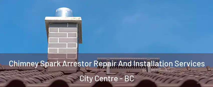  Chimney Spark Arrestor Repair And Installation Services City Centre - BC
