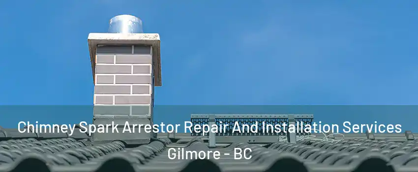  Chimney Spark Arrestor Repair And Installation Services Gilmore - BC